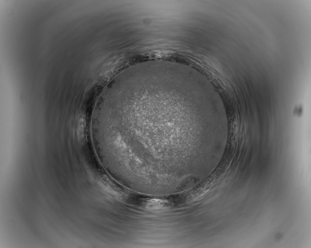 X0000099530222200805161219