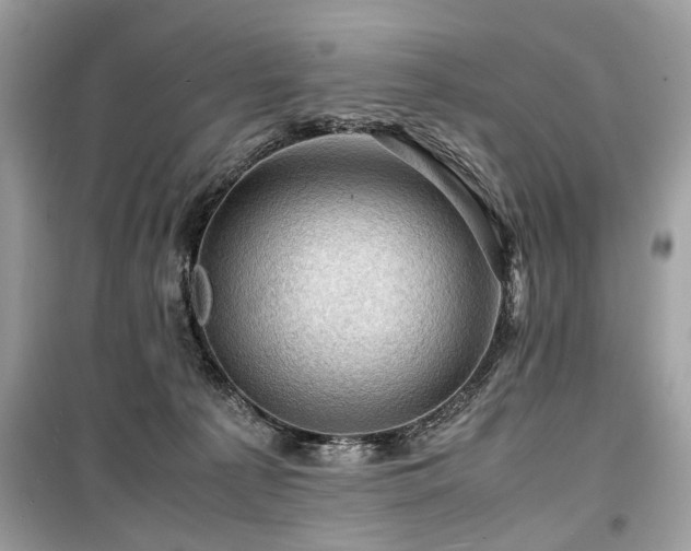 X0000099530225200805161219