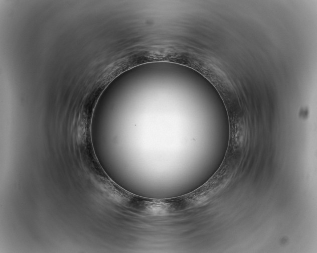 X0000099530226200805161219