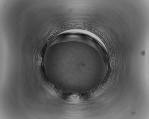 X0000099530227200805161219