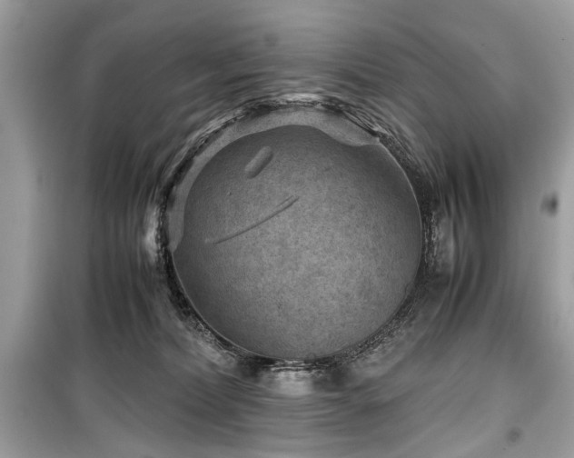 X0000099530228200805161219