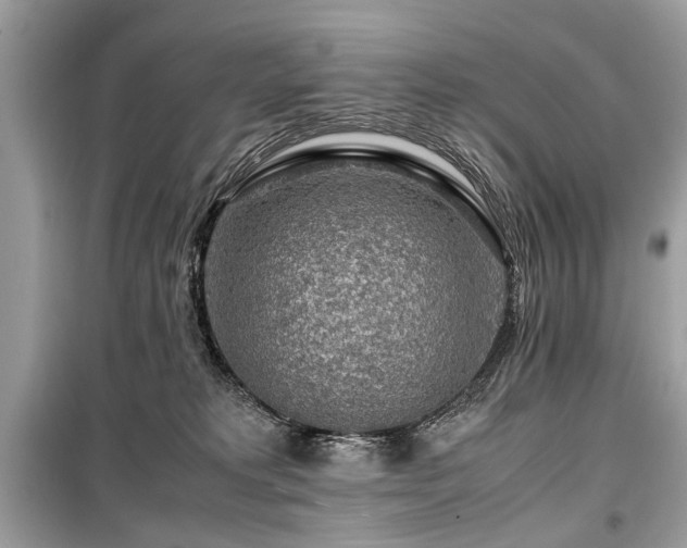 X0000099530229200805161219