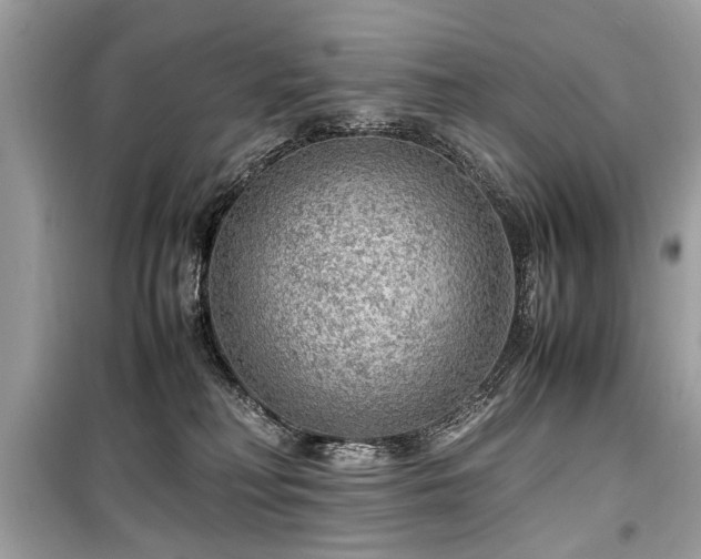 X0000099530230200805161219