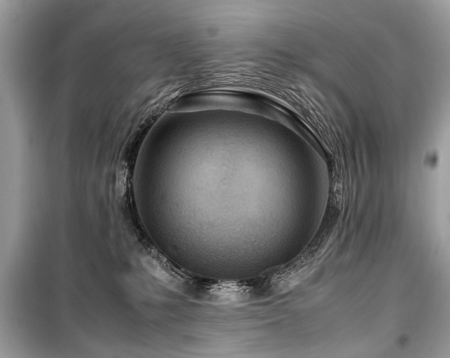 X0000099530231200805161219
