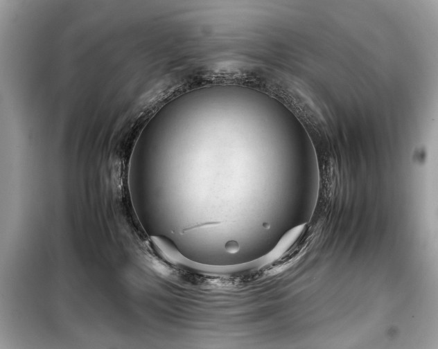 X0000099530232200805161219