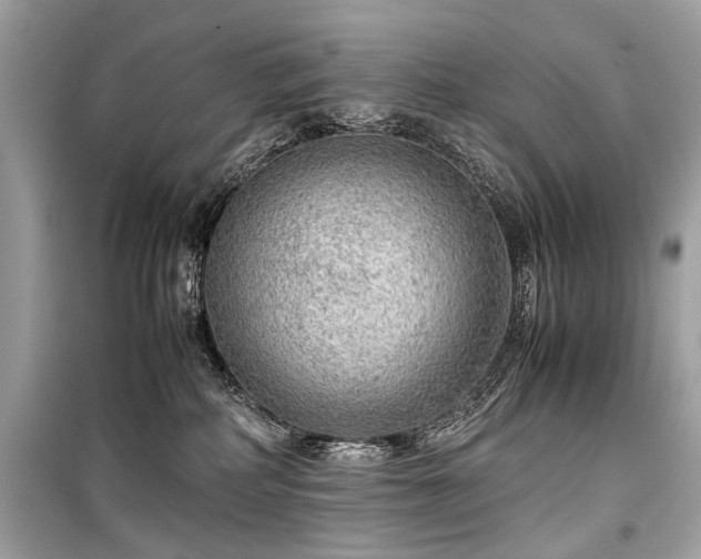X0000099530234200805161219