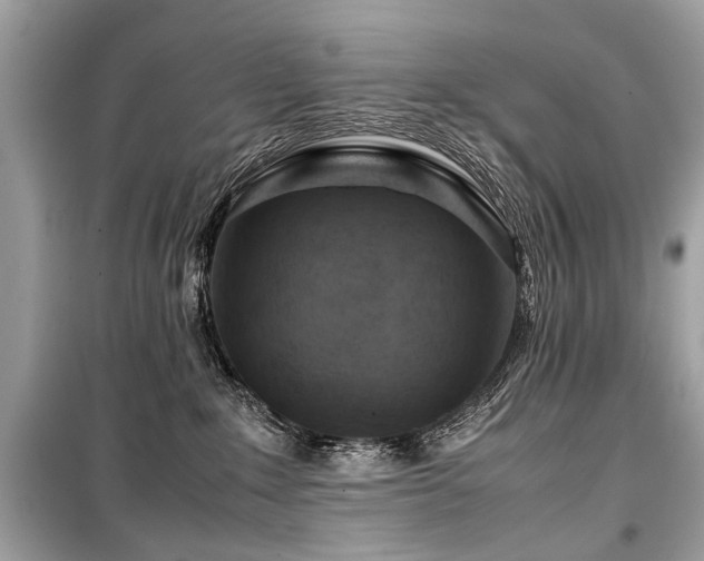 X0000099530235200805161219