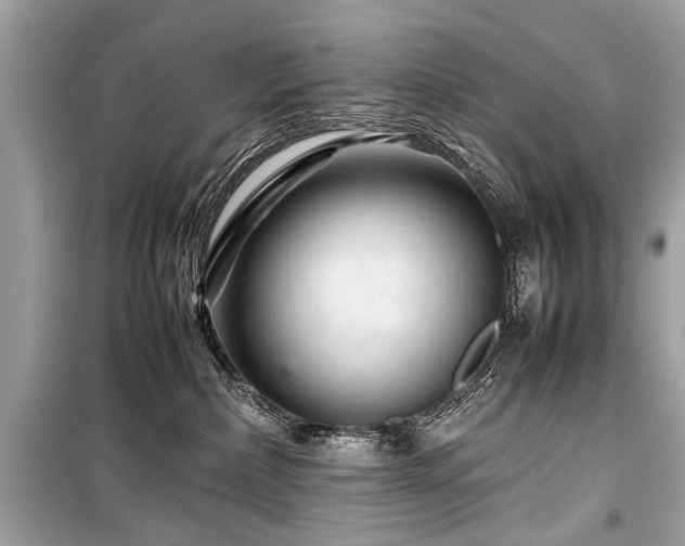 X0000099530236200805161219