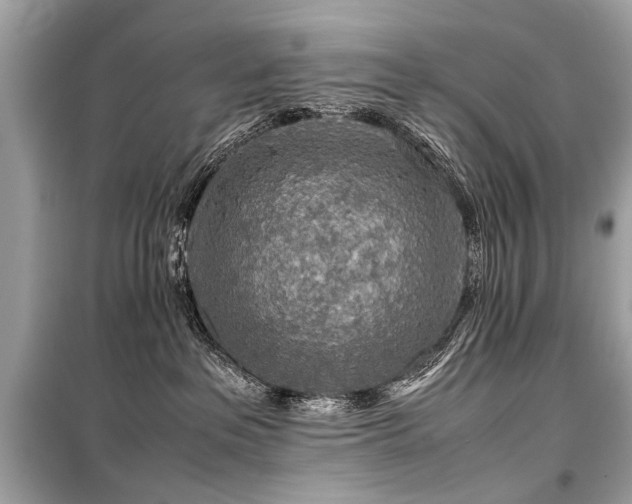 X0000099530237200805161219