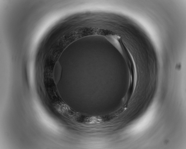 X0000099530239200805161219