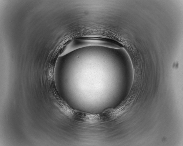 X0000099530240200805161219