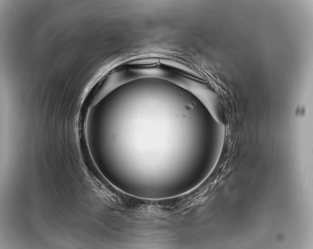 X0000099530244200805161218