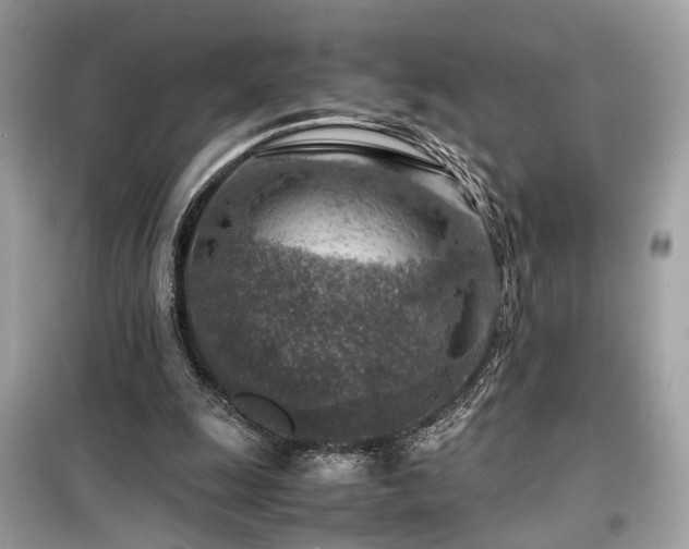 X0000099530247200805161218