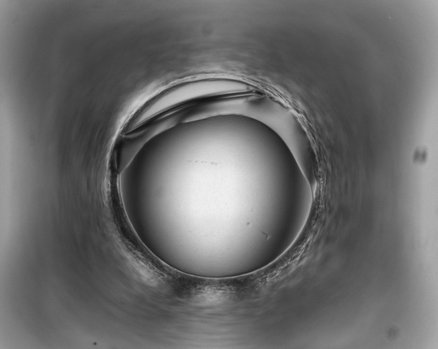 X0000099530248200805161218