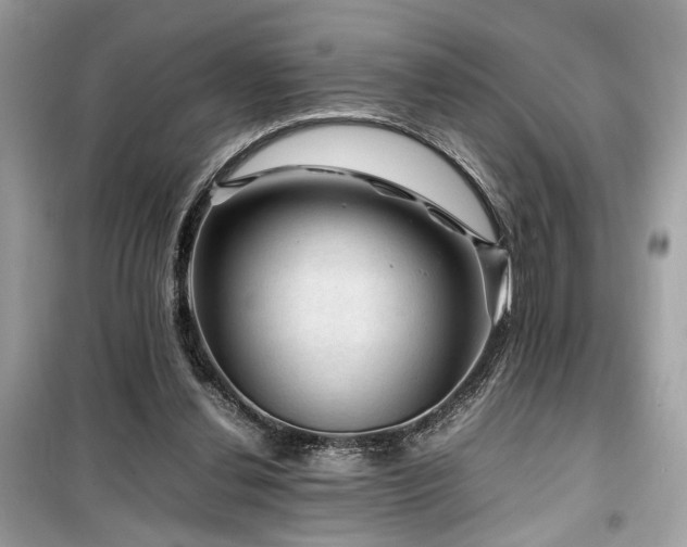 X0000099530252200805161218