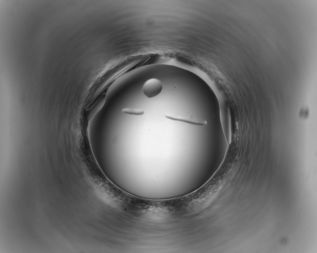 X0000099530256200805161218