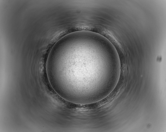 X0000099530259200805161218