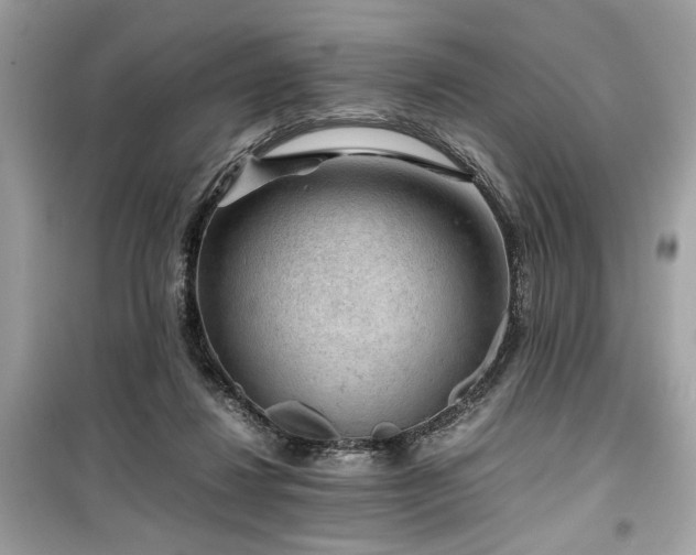 X0000099530260200805161218