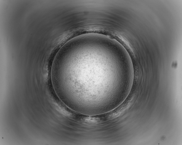 X0000099530261200805161218