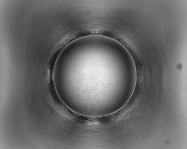 X0000099530262200805161218