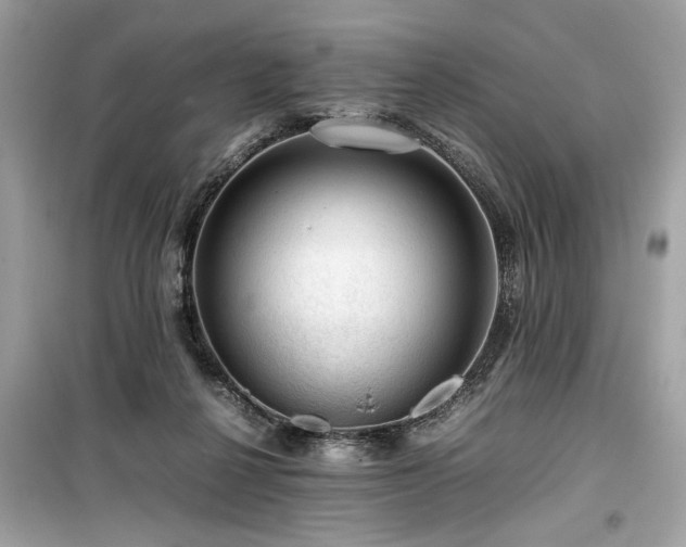 X0000099530264200805161218