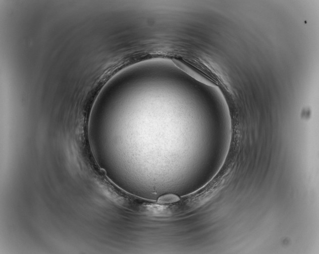 X0000099530265200805161218