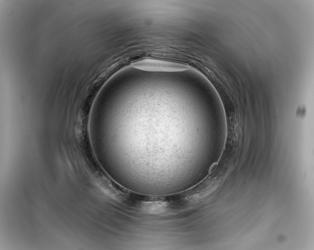 X0000099530266200805161218