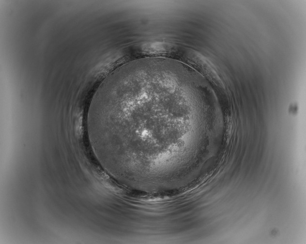 X0000099530267200805161218
