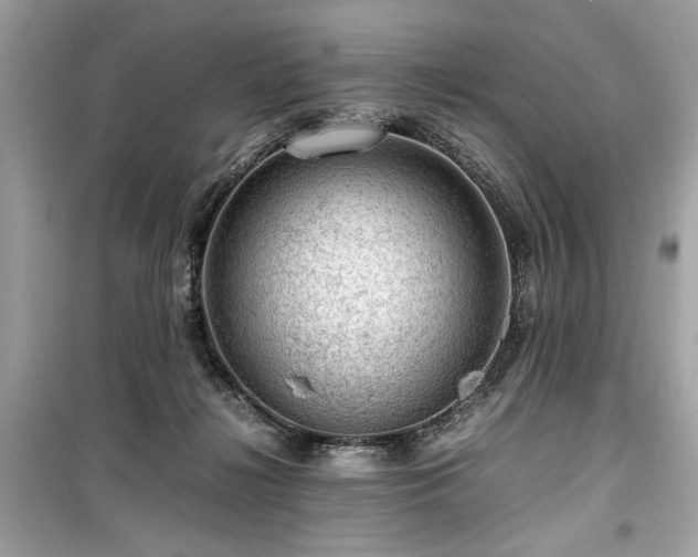 X0000099530268200805161218