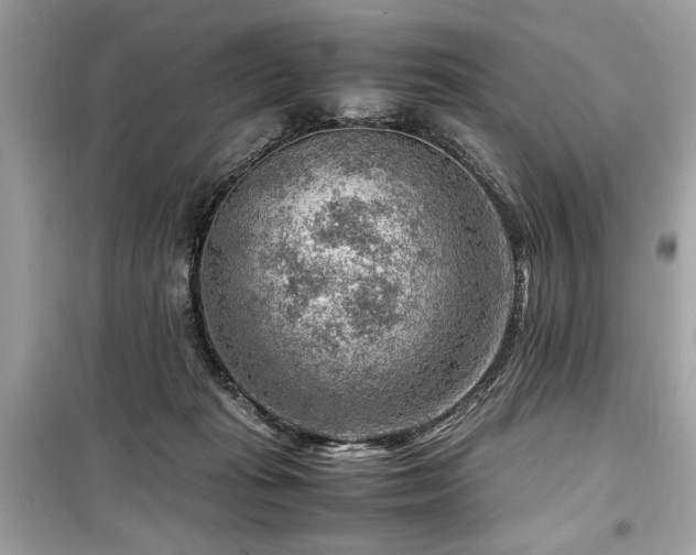 X0000099530269200805161218