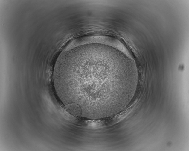 X0000099530273200805161218