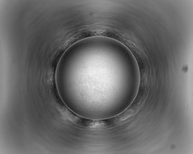 X0000099530274200805161219