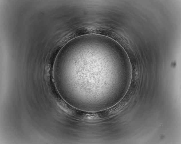 X0000099530275200805161219
