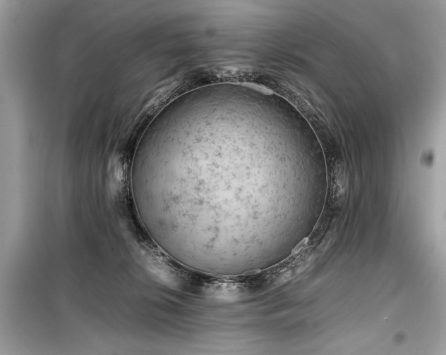 X0000099530276200805161219