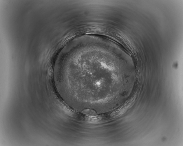 X0000099530277200805161219