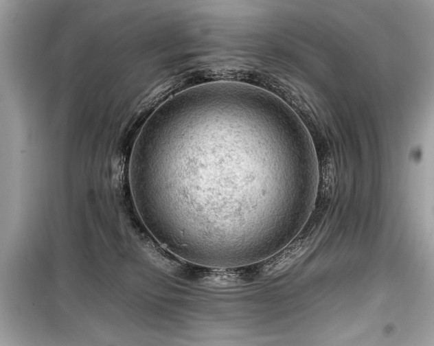 X0000099530278200805161219