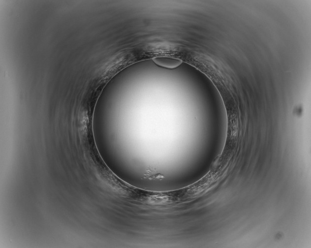 X0000099530279200805161219