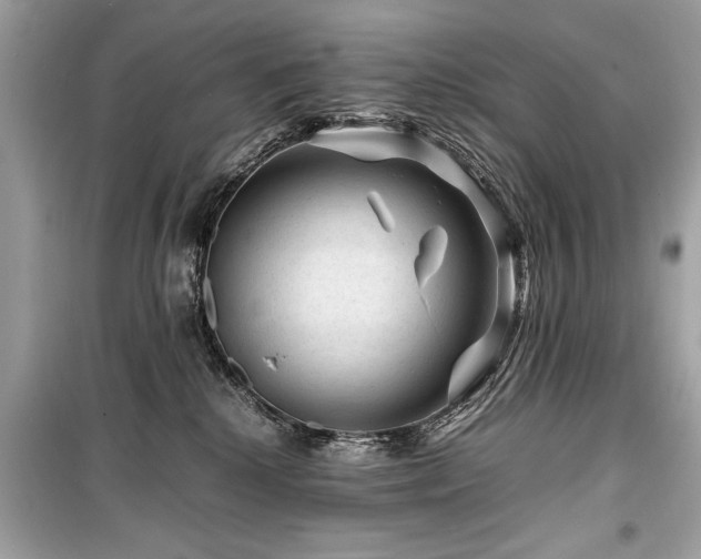X0000099530280200805161219