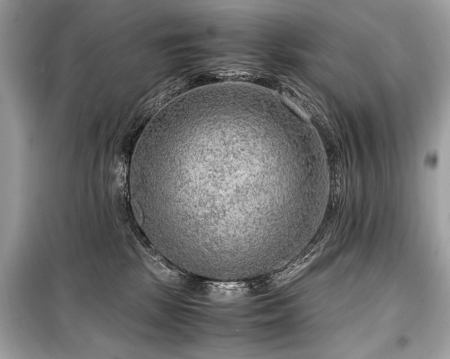 X0000099530281200805161219
