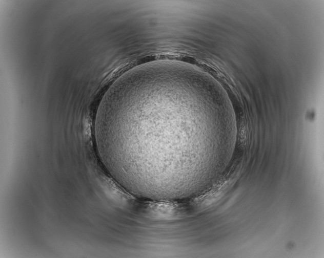 X0000099530282200805161219