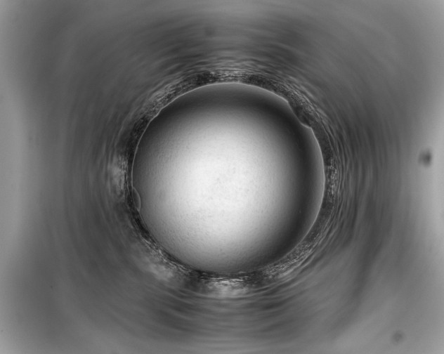 X0000099530283200805161219