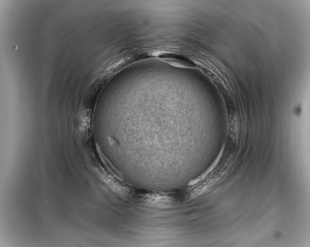 X0000099530284200805161219
