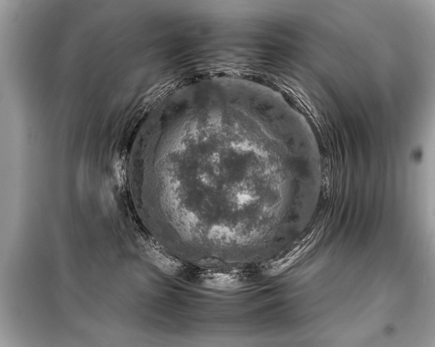 X0000099530285200805161219