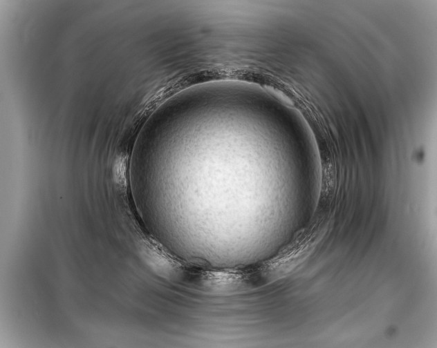 X0000099530286200805161219