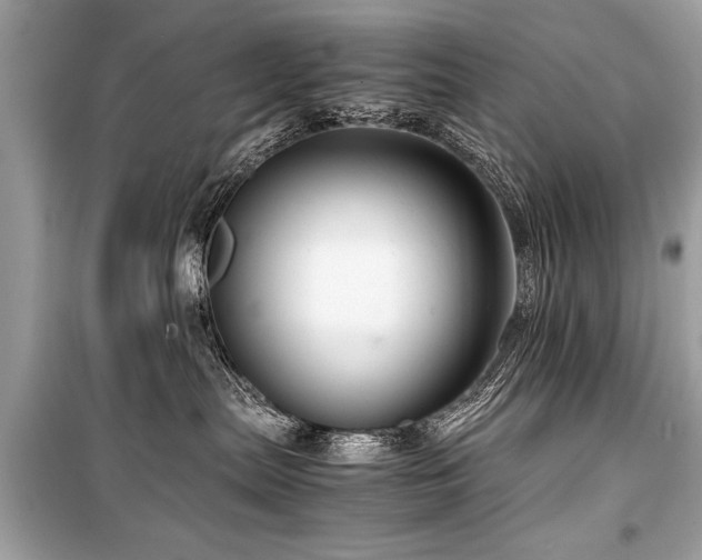X0000099530287200805161219