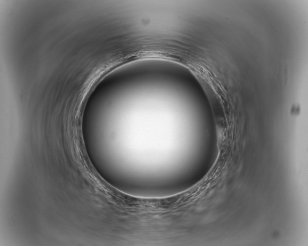 X0000099530289200805161218