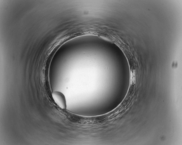 X0000099530291200805161218