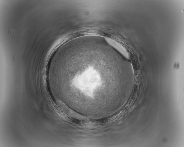 X0000099530293200805161218