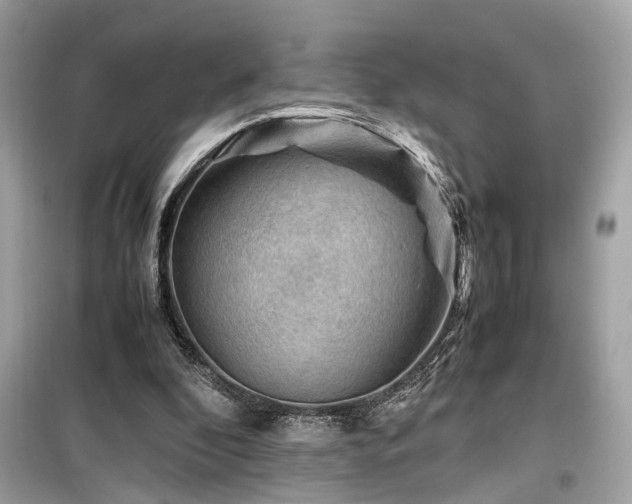 X0000099530296200805161218