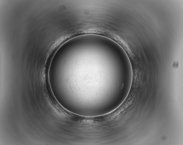 X0000099530298200805161218